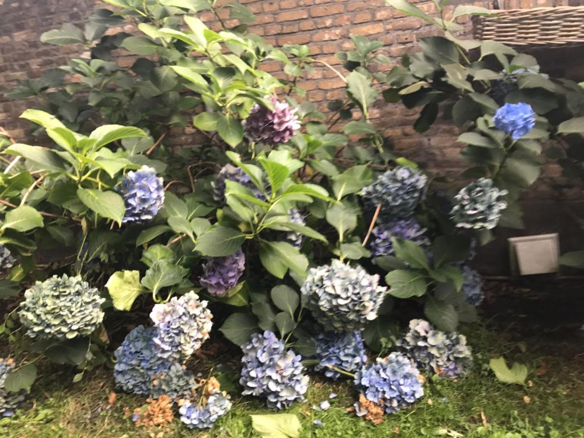 Prinsenbeek B&B Charming Farmhouse المظهر الخارجي الصورة