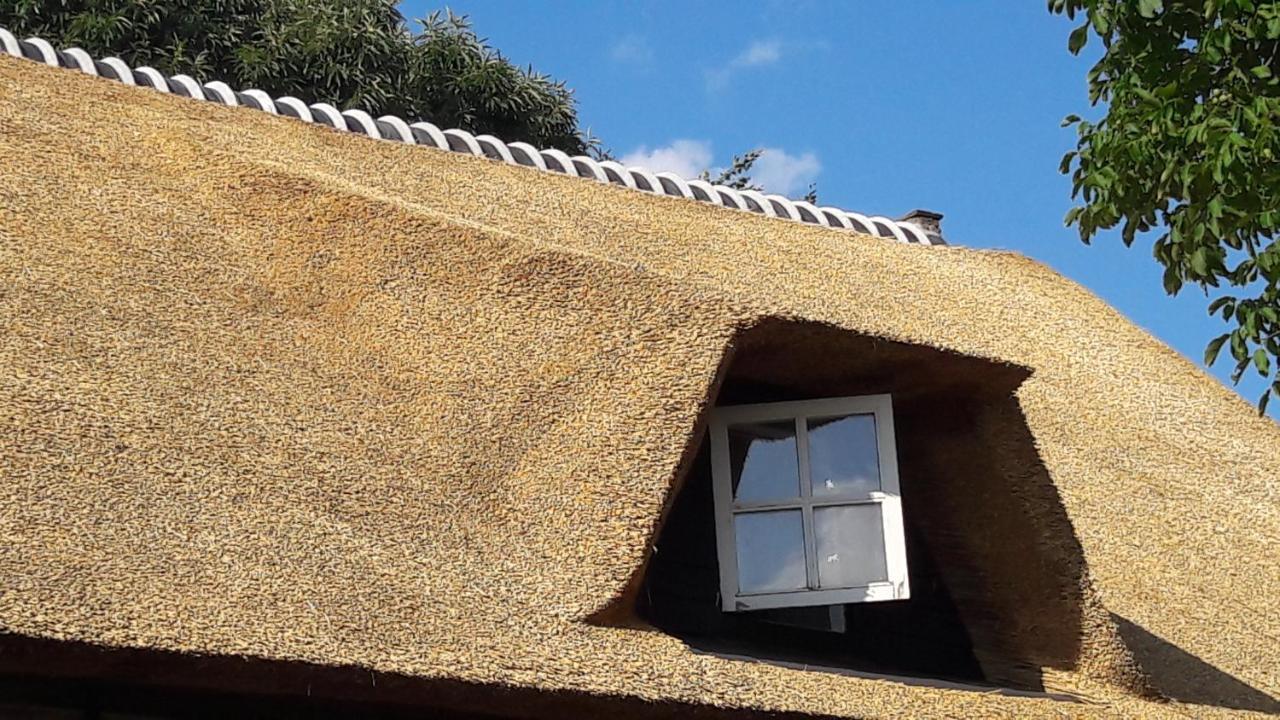 Prinsenbeek B&B Charming Farmhouse المظهر الخارجي الصورة